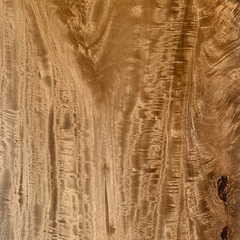 Fiddlewood (Citharexylum spinosum) wood grain with chatoyance