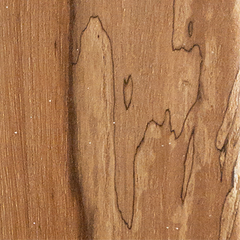 Ironwood (Casuarina equisetifolia) wood grain with zone line spalting from fungi