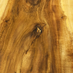 Kou (Cordia subcordata) wood grain with chatoyance