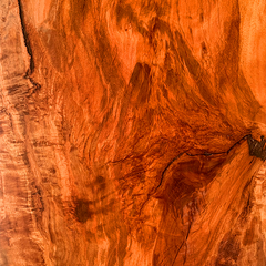 Lychee (Litchi chinensis) wood grain burl