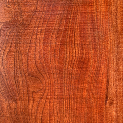 Toona (Toona ciliata) wood grain
