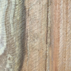 Yellow Gum Eucalyptus (Eucalyptus leucoxylon) wood grain with compression curl chatoyance