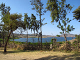 Lake tana ethiopia