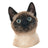 Siamese Cat.jpg__PID:b043cf80-9478-4dda-a5d1-68e774d31630