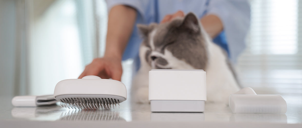 aumuca profession assortment of cat brushes for grooming purposes.