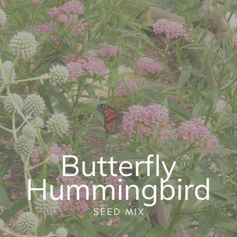 Butterfly Hummingbird Seed Mix 