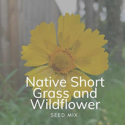 Native Short Grass and Wildflower Seed Mix 
