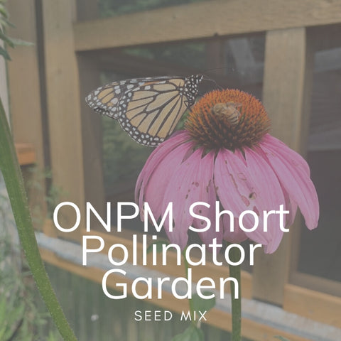 ONPM Short Pollinator Garden 