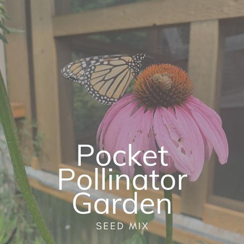 Pocket Pollinator Garden Seed Mix 