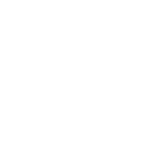 Mouse in the house