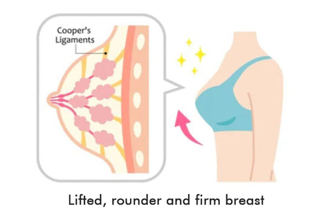 10-30pcs Breast Enhancement Patches – HUSK