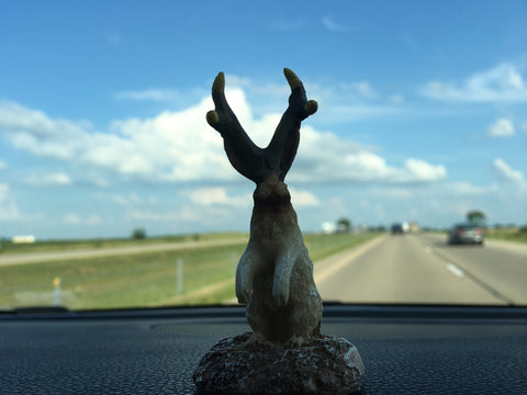 Road Trip with Jackalope 