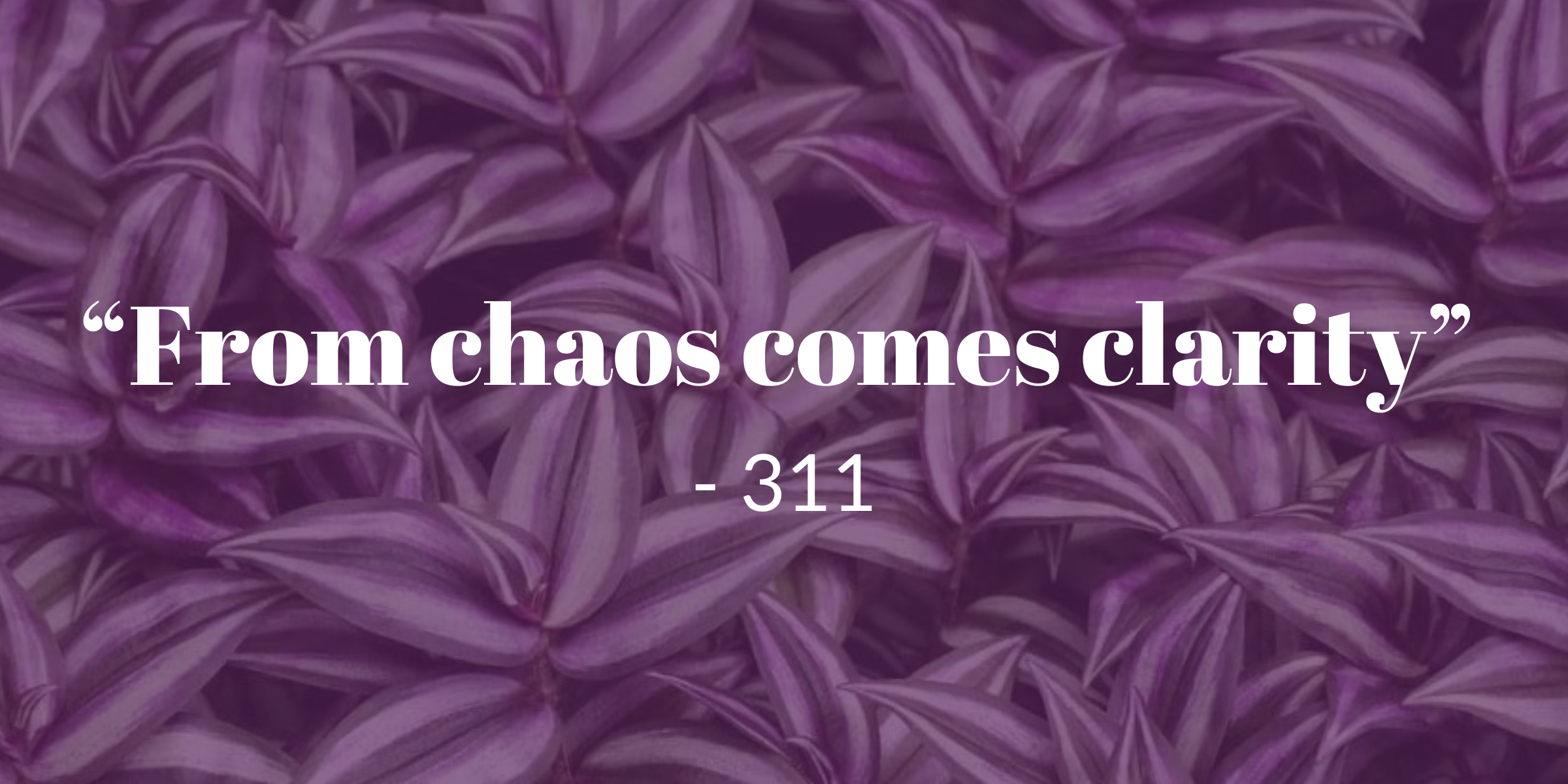 From Chaos inspo quote