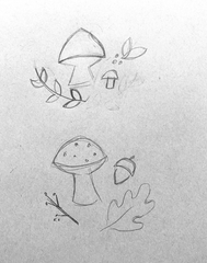 black and white sketch of mushrooms, leaves, and acorns