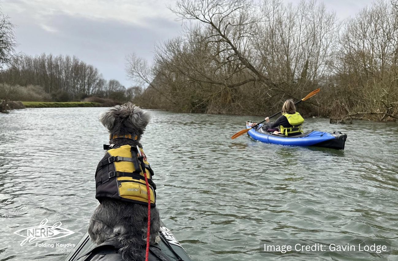Small dog in a yellow life vest sitting on a Neris kayak, watching another paddler ahead on a calm, tree-lined river