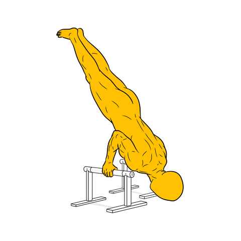 Illustration showing the lower phase of the handstand push up using wooden parallettes for wrist support