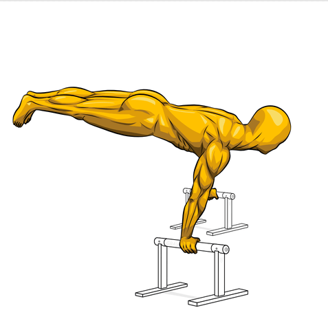 Illustration of the full planche hold using wooden parallettes for wrist support of this difficult calisthenics exercise