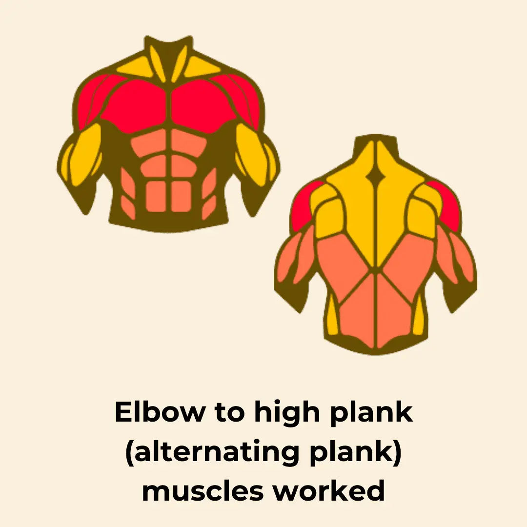 alternating-plank-calisthenics-shoulder-exercise