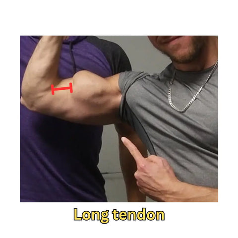 image of a man with a short bicep head demonstrating an example of having a long tendon in the bicep