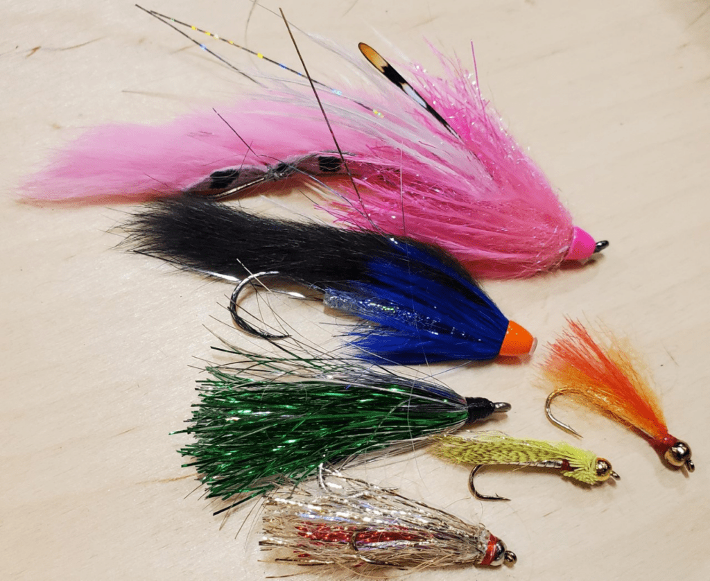 flies_squamish