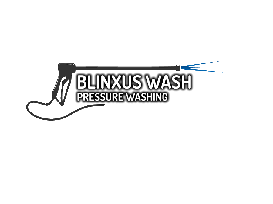 Blinxus Wash Pressure Washing