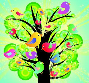 colourful birds in a tree