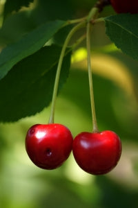 red cherries