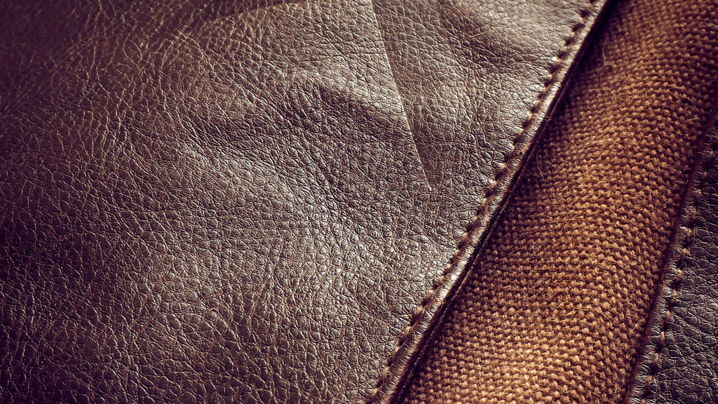 how to remove mold from leather