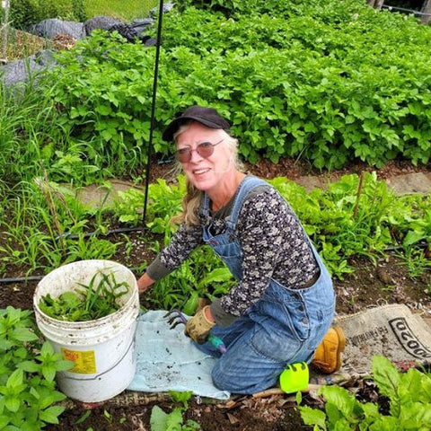 gathering produce in a bucket