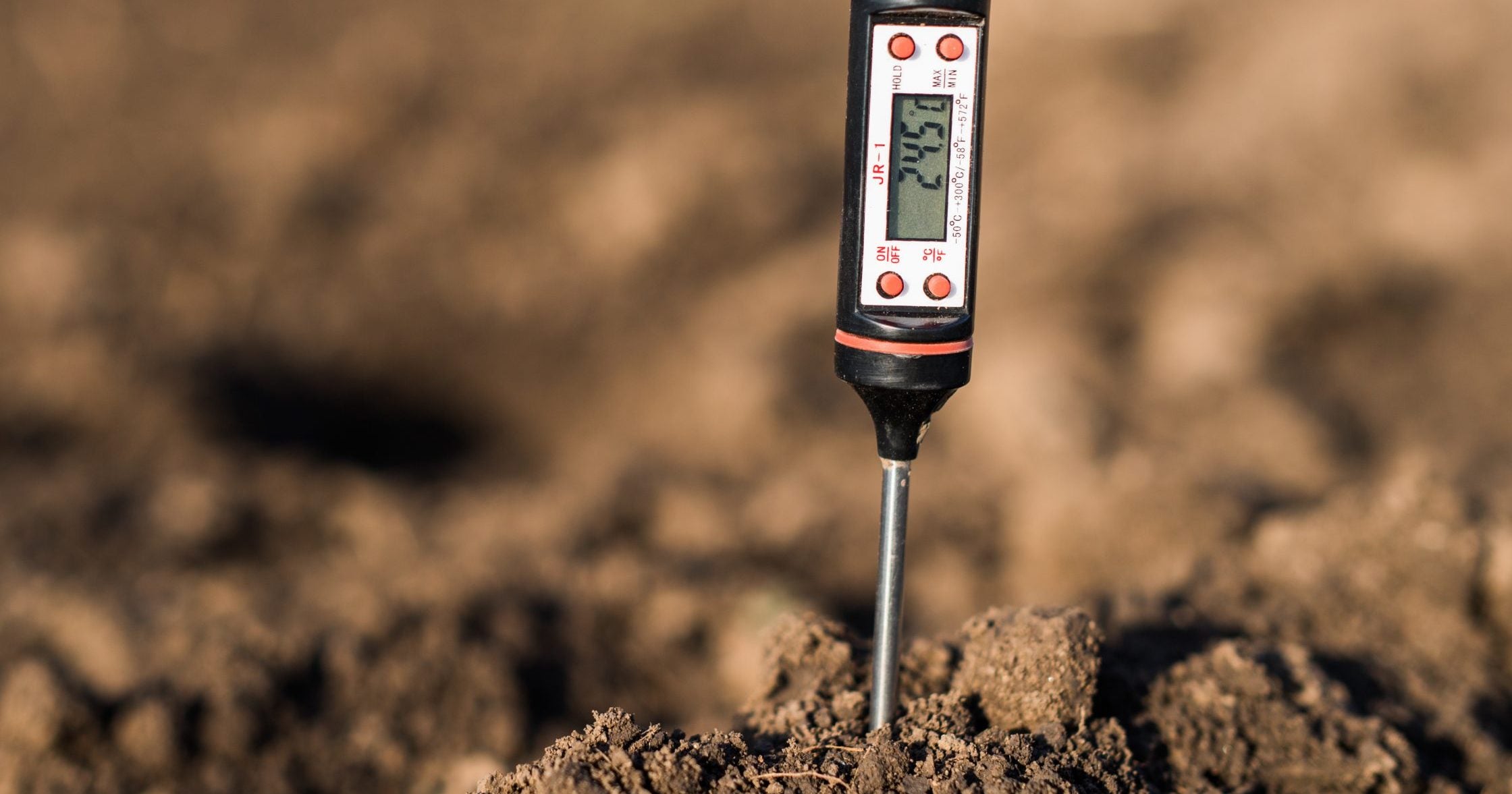 Soil Temperature for Higher Germination - Stutzmans Greenhouse