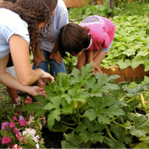 learning how to garden in the community garden