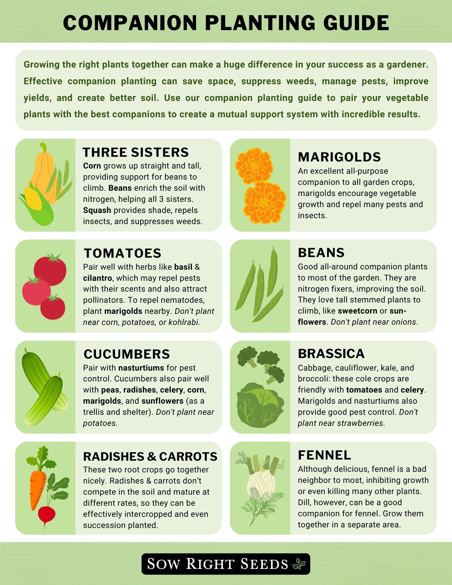 Image of Companion planting chart for flowers - marigolds and beans