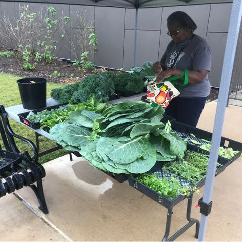 woman with fresh produce from a community garden