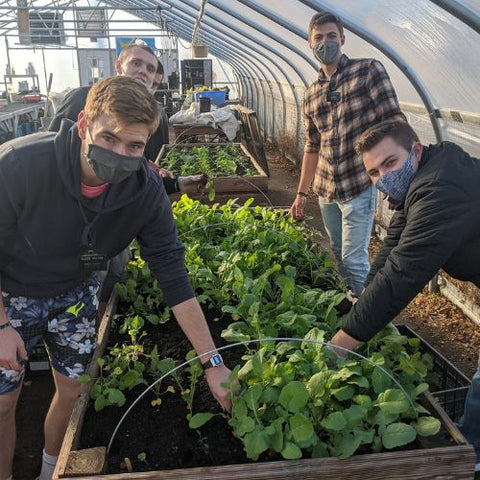 people growing greens in a community garden raised bed