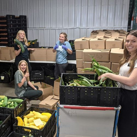 sorting produce from community garden in warehouse