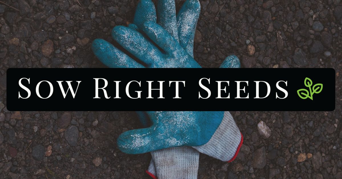 Sow Right Seeds