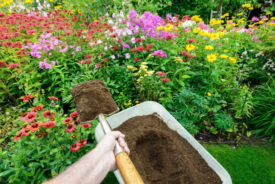 shoveling compost in flower bed