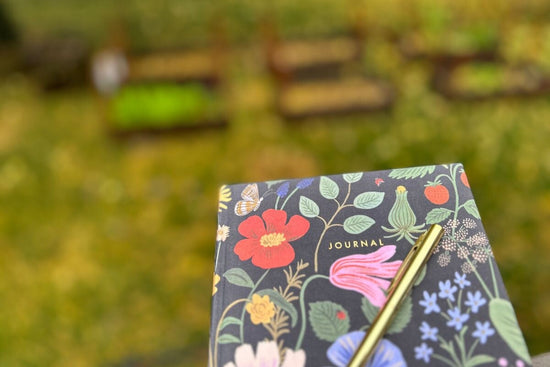 Journal with raised beds in background