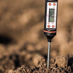 thermometer in soil