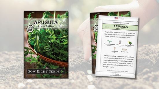 arugula seed packet back and front