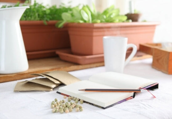 notebook with seeds