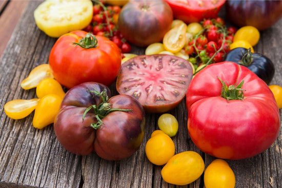 variety of colored tomatoes