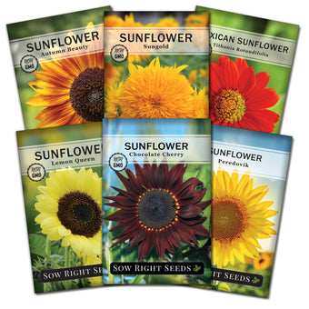 How To Grow Winter Flower Seeds Fast (With Full Updates) 