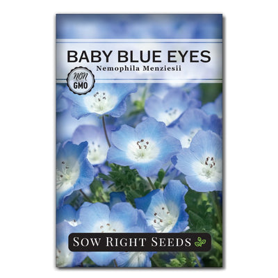 Sow Right Seeds - Annual Baby's Breath Seeds for Planting - Non-GMO White  Flowers Heirloom Packet with Instructions to Plant in Your Home Garden 