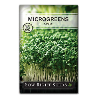 How to grow cress, Gardening advice