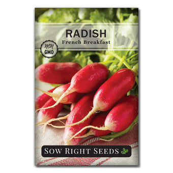 The Top 10 Best Vegetables to Grow in Raised Garden Beds – Sow Right Seeds