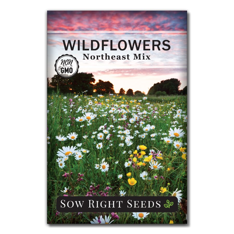 Northeastern Mix Wildflower Seeds | Grow a Native Garden – Sow Right Seeds