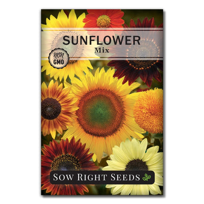 Sunflower, Autumn Beauty Mix Organic - Burpee