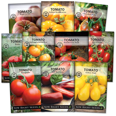 Beefsteak Tomato Seeds – Wildrose Heritage Seed Company