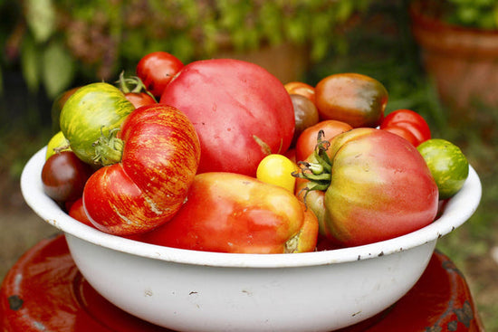 vine ripe tomatoes